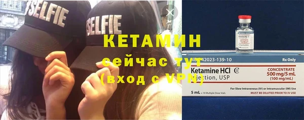 индика Богданович