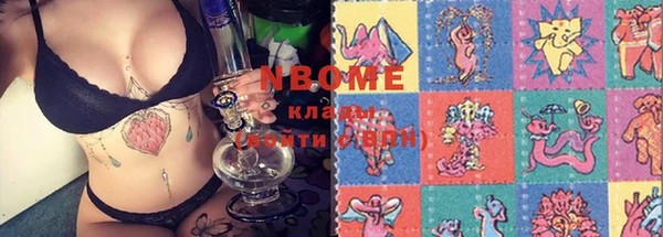 шишки Инта