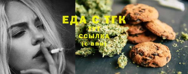 индика Богданович