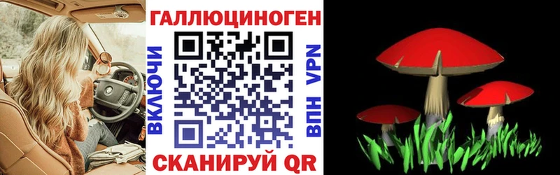 Псилоцибиновые грибы мицелий  Ермолино 